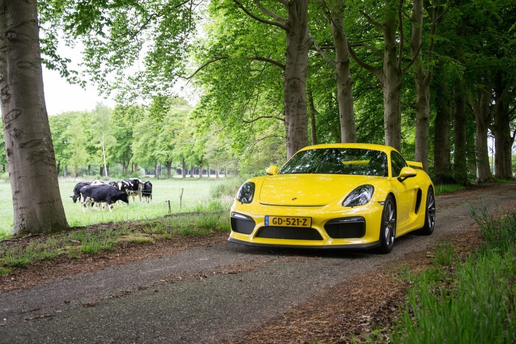pe-vierenzestig-cayman-gt4-300dpi-8854